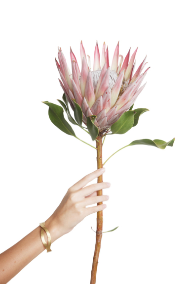 Mode Studio Shooting kreative Fashionfotografie